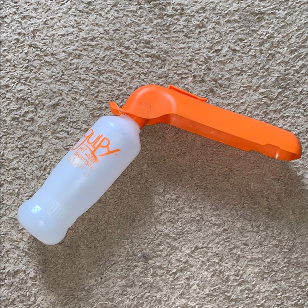Dog water dispenser